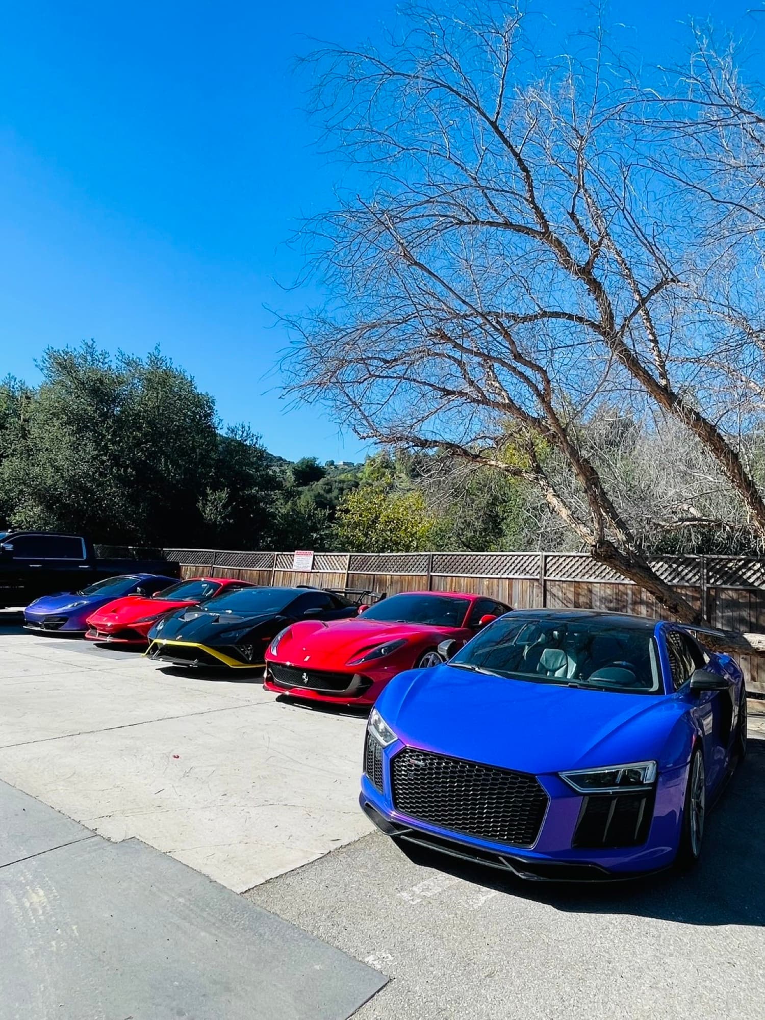 A line of cars parked under a bare tree